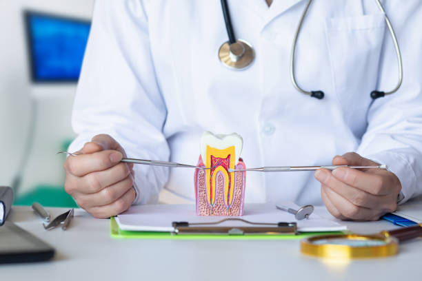 Best Emergency Treatment for Dental Infections or Abscesses in Lavaca, AR